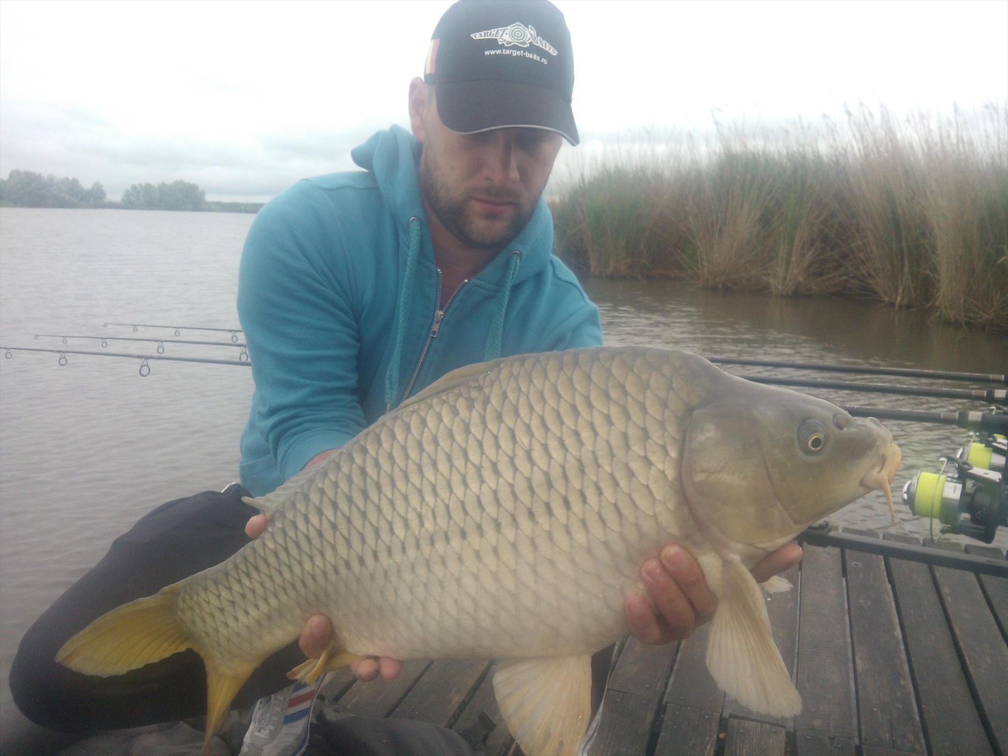 ohat 3 2015 - wp001939.jpg